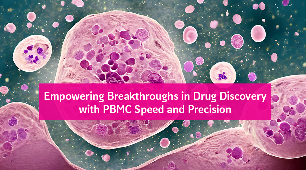 PBMCs in Drug Discovery and Therapeutic Development